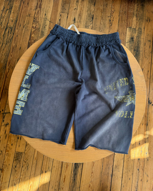 NAVY TROOPER SHORTS