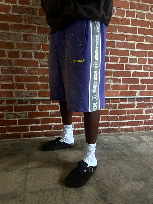 ALL PURPOSE SHORTS PURPLE REIGN