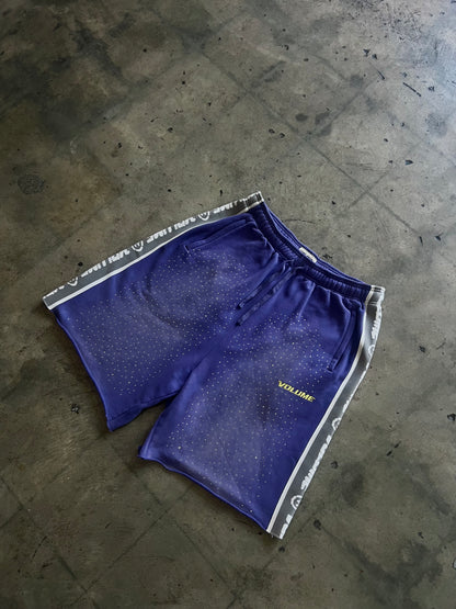 ALL PURPOSE SHORTS PURPLE REIGN